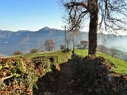 77 Il 505A-B scende ben acciottolato tra muri i pietre a secco 
